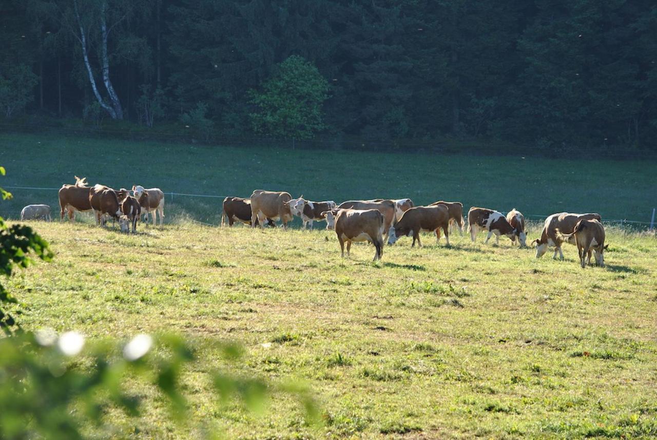 Ferienhaus Nordschwarzwald Neuweiler  ภายนอก รูปภาพ