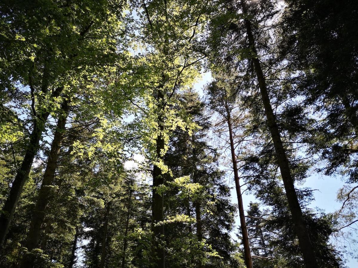 Ferienhaus Nordschwarzwald Neuweiler  ภายนอก รูปภาพ